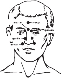 Иллюстрация к книге — Лечебные точки организма. Снимаем боли в сердце и в области живота [_67.jpg]