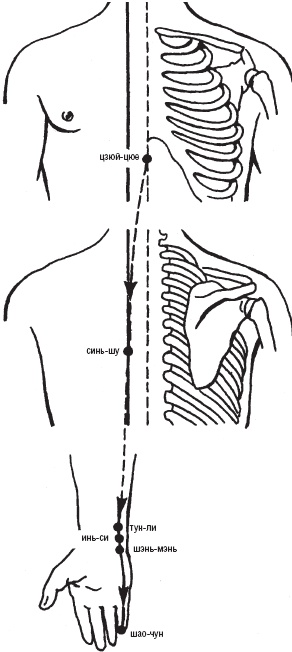 Иллюстрация к книге — Лечебные точки организма. Снимаем боли в сердце и в области живота [_7.jpg]
