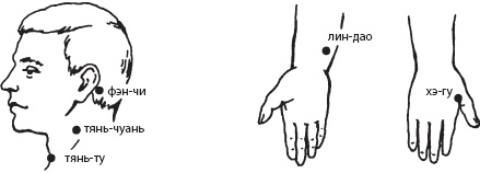 Иллюстрация к книге — Массаж. Уроки великого мастера [_102.jpg]