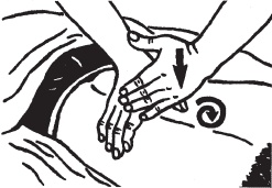 Иллюстрация к книге — Массаж. Уроки великого мастера [_113.jpg]