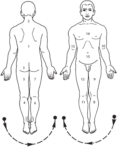 Иллюстрация к книге — Массаж. Уроки великого мастера [_13.jpg]