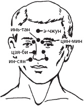 Иллюстрация к книге — Массаж. Уроки великого мастера [_145.jpg]