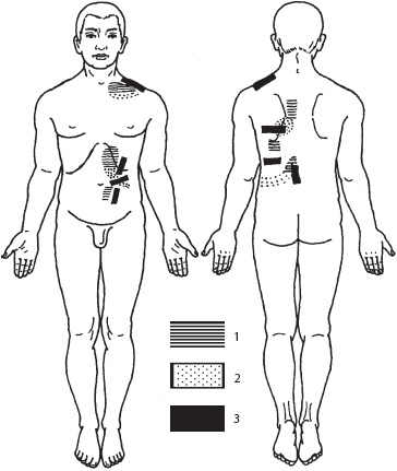 Иллюстрация к книге — Массаж. Уроки великого мастера [_148.jpg]
