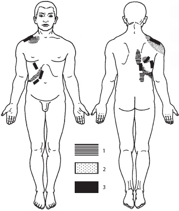 Иллюстрация к книге — Массаж. Уроки великого мастера [_150.jpg]