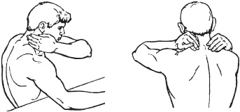 Иллюстрация к книге — Массаж. Уроки великого мастера [_163.jpg]