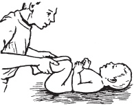 Иллюстрация к книге — Массаж. Уроки великого мастера [_167.jpg]