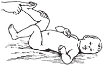 Иллюстрация к книге — Массаж. Уроки великого мастера [_169.jpg]