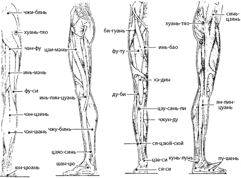 Иллюстрация к книге — Массаж. Уроки великого мастера [_184.jpg]