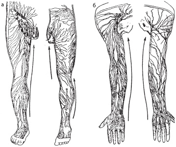 Иллюстрация к книге — Массаж. Уроки великого мастера [_22.jpg]