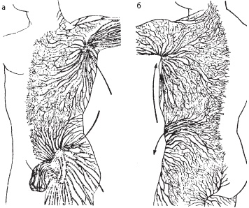 Иллюстрация к книге — Массаж. Уроки великого мастера [_24.jpg]