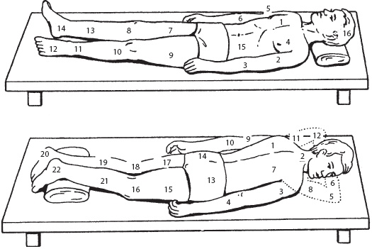 Иллюстрация к книге — Массаж. Уроки великого мастера [_3.jpg]