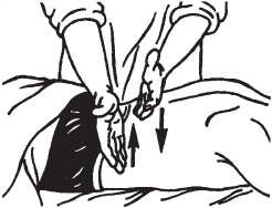 Иллюстрация к книге — Массаж. Уроки великого мастера [_39.jpg]