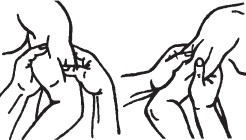 Иллюстрация к книге — Массаж. Уроки великого мастера [_41.jpg]