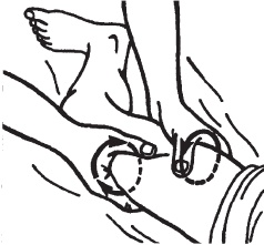 Иллюстрация к книге — Массаж. Уроки великого мастера [_42.jpg]