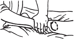 Иллюстрация к книге — Массаж. Уроки великого мастера [_43.jpg]