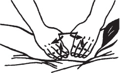 Иллюстрация к книге — Массаж. Уроки великого мастера [_45.jpg]