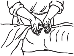 Иллюстрация к книге — Массаж. Уроки великого мастера [_48.jpg]