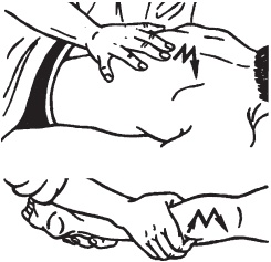 Иллюстрация к книге — Массаж. Уроки великого мастера [_51.jpg]