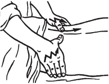 Иллюстрация к книге — Массаж. Уроки великого мастера [_54.jpg]