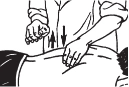 Иллюстрация к книге — Массаж. Уроки великого мастера [_57.jpg]