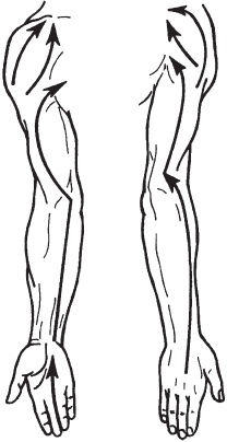 Иллюстрация к книге — Массаж. Уроки великого мастера [_59.jpg]