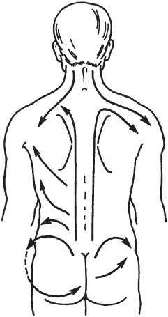 Иллюстрация к книге — Массаж. Уроки великого мастера [_61.jpg]