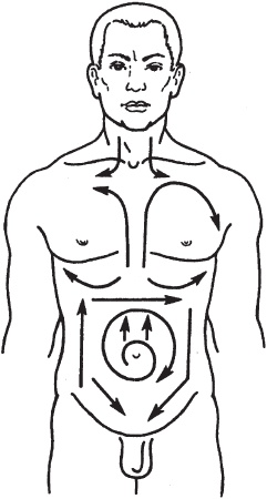 Иллюстрация к книге — Массаж. Уроки великого мастера [_62.jpg]