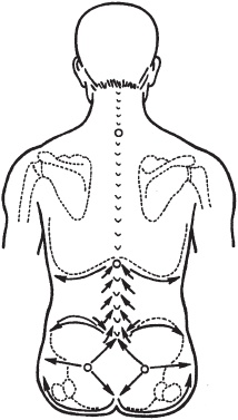 Иллюстрация к книге — Массаж. Уроки великого мастера [_63.jpg]