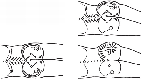Иллюстрация к книге — Массаж. Уроки великого мастера [_64.jpg]