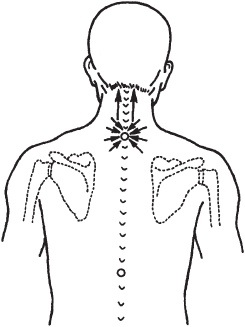 Иллюстрация к книге — Массаж. Уроки великого мастера [_68.jpg]