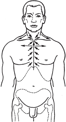 Иллюстрация к книге — Массаж. Уроки великого мастера [_72.jpg]