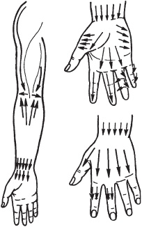 Иллюстрация к книге — Массаж. Уроки великого мастера [_73.jpg]