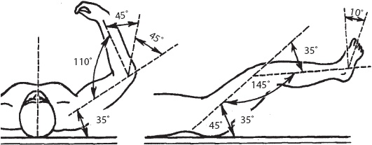 Иллюстрация к книге — Большой справочник по массажу [_06.jpg]