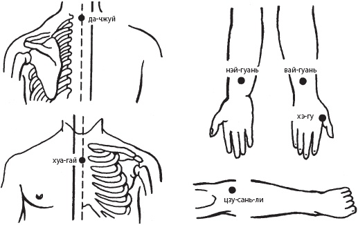 Иллюстрация к книге — Большой справочник по массажу [_103.jpg]