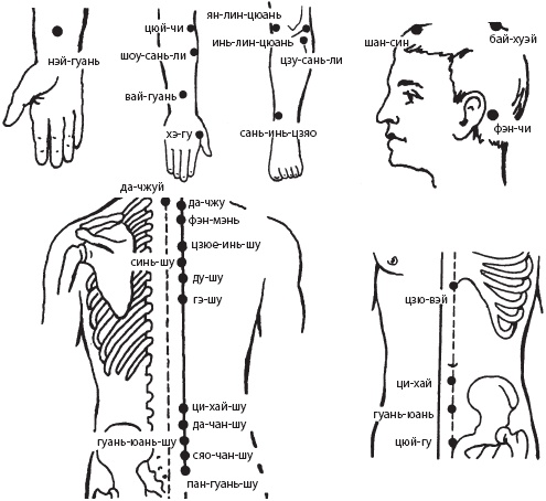 Иллюстрация к книге — Большой справочник по массажу [_104.jpg]