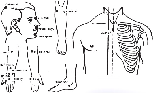 Иллюстрация к книге — Большой справочник по массажу [_105.jpg]