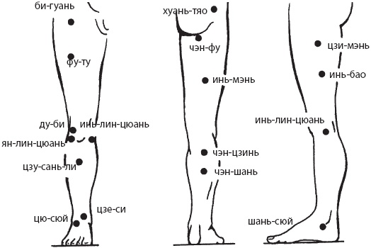 Иллюстрация к книге — Большой справочник по массажу [_138.jpg]