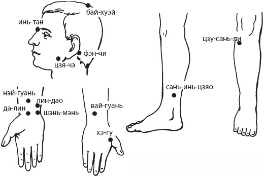 Иллюстрация к книге — Большой справочник по массажу [_146.jpg]