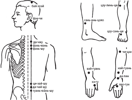 Иллюстрация к книге — Большой справочник по массажу [_147.jpg]
