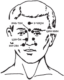 Иллюстрация к книге — Большой справочник по массажу [_151.jpg]