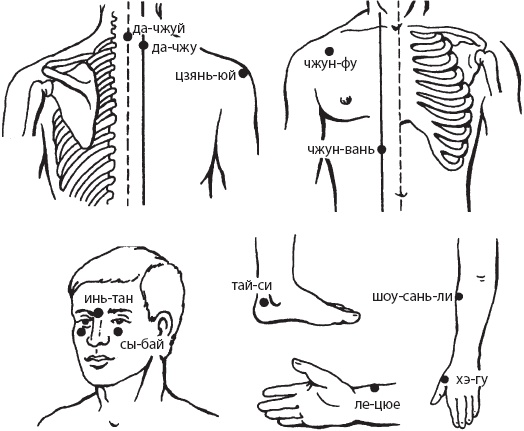 Иллюстрация к книге — Большой справочник по массажу [_152.jpg]