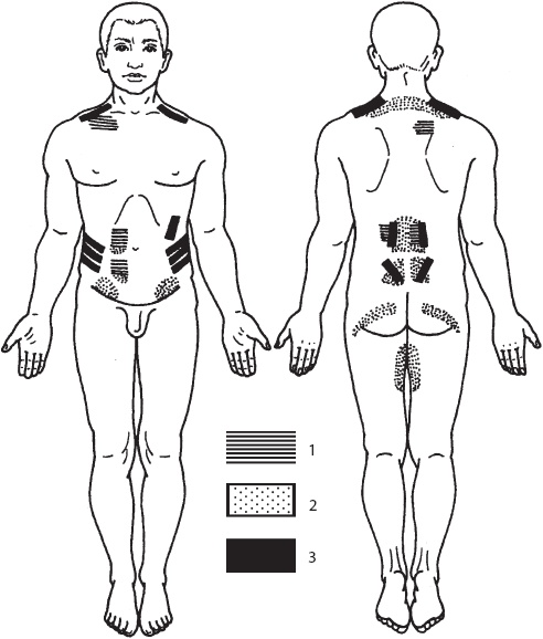 Иллюстрация к книге — Большой справочник по массажу [_154.jpg]