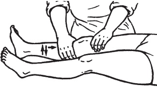 Иллюстрация к книге — Большой справочник по массажу [_158.jpg]