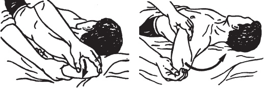 Иллюстрация к книге — Большой справочник по массажу [_159.jpg]