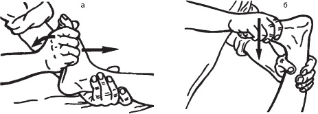 Иллюстрация к книге — Большой справочник по массажу [_160.jpg]