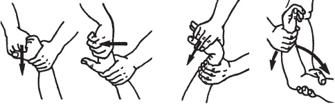 Иллюстрация к книге — Большой справочник по массажу [_161.jpg]