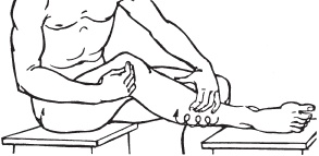 Иллюстрация к книге — Большой справочник по массажу [_166.jpg]