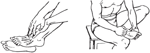 Иллюстрация к книге — Большой справочник по массажу [_167.jpg]