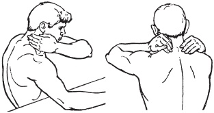 Иллюстрация к книге — Большой справочник по массажу [_168.jpg]