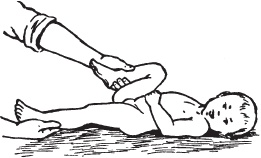 Иллюстрация к книге — Большой справочник по массажу [_173.jpg]